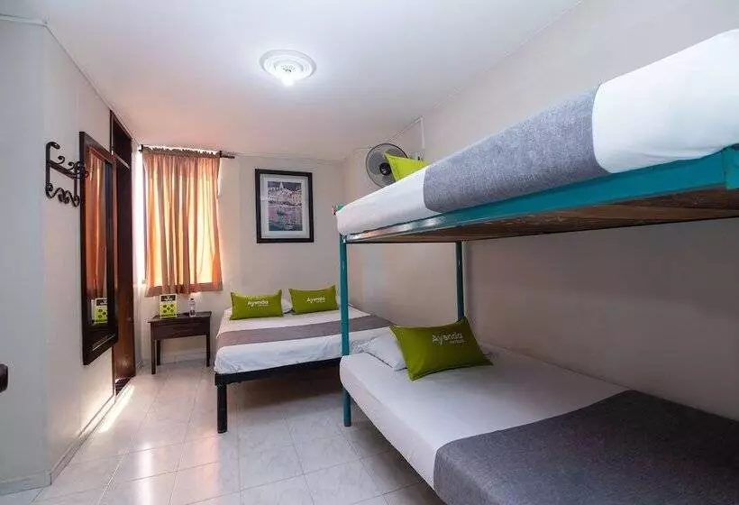 Fotos del hotel Ayenda Calypso 1142:  25