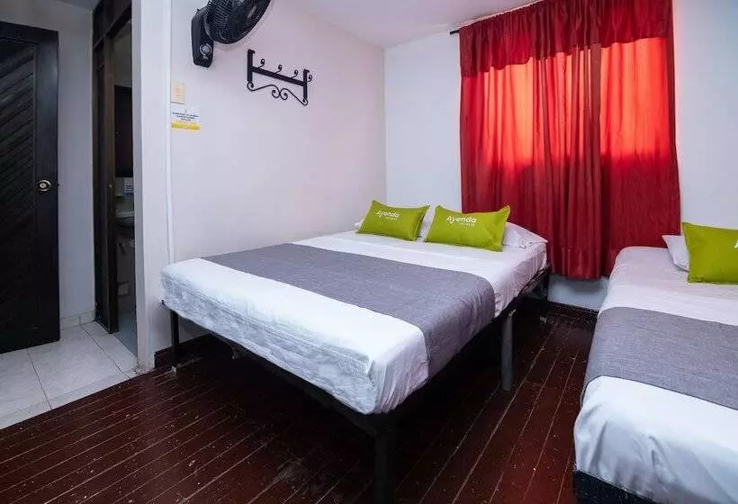 Fotos del hotel Ayenda Calypso 1142:  19