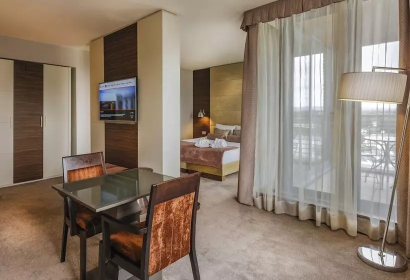 Fotos del hotel Absolute  Limerick:  14