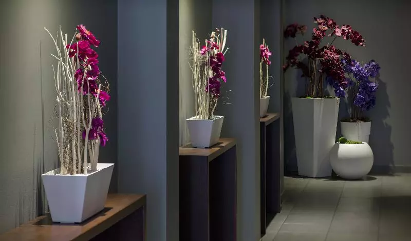 Fotos del hotel Dodo:  8