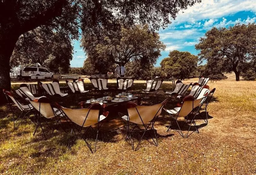 Fotos del hotel Valdepalacios Gourmand 5 Gl:  13