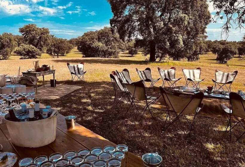 Fotos del hotel Valdepalacios Gourmand 5 Gl:  8