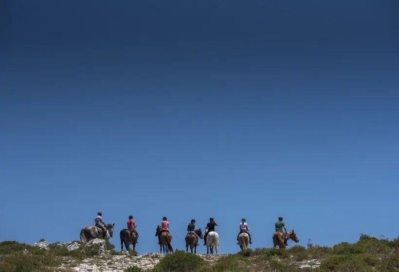 Fotos del hotel Lux Fatima Park  , Suites & Residence:  64