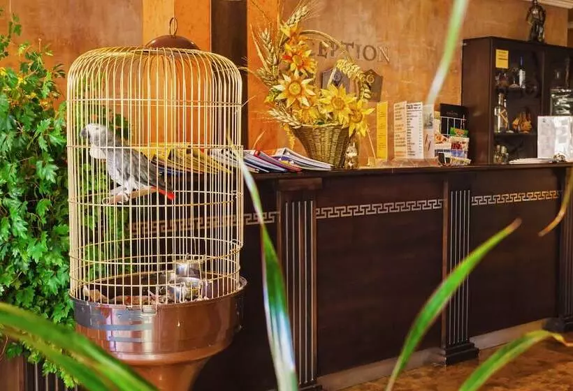 Fotos del hotel Forum:  8