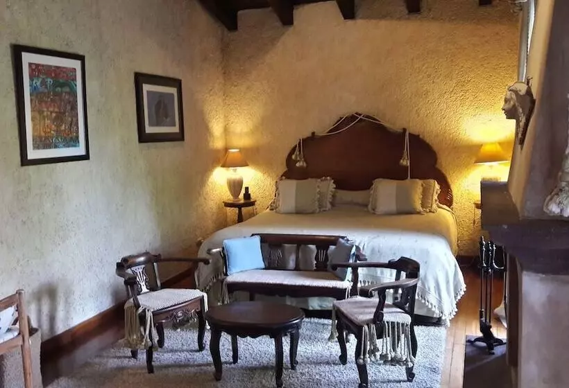 Fotos del hotel Cissus Hotel Boutique:  8