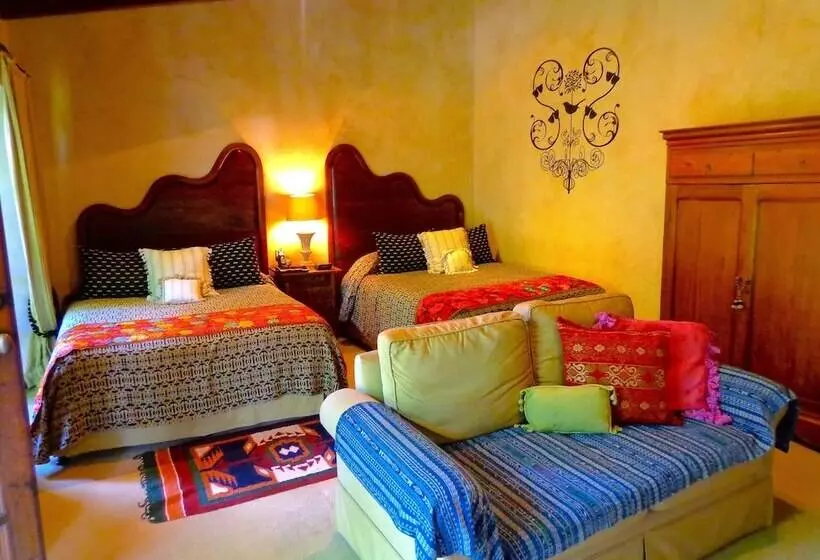 Fotos del hotel Cissus Hotel Boutique:  10