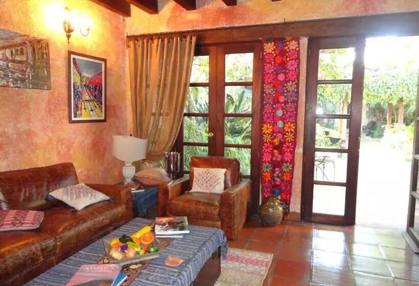 Fotos del hotel Cissus Hotel Boutique:  24