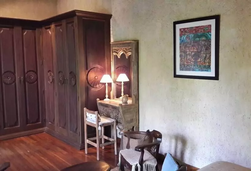 Fotos del hotel Cissus Hotel Boutique:  25