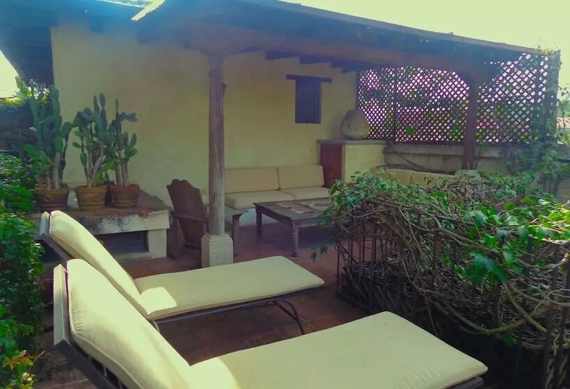 Fotos del hotel Cissus Hotel Boutique:  7