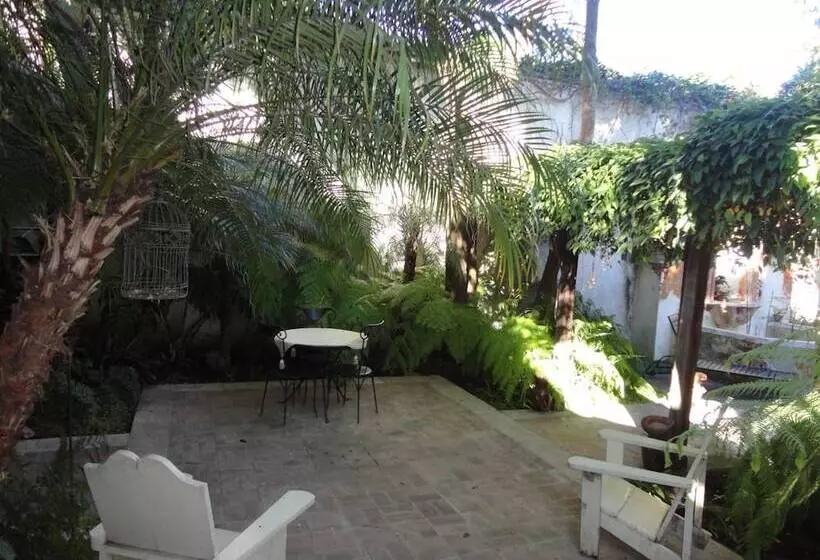 Fotos del hotel Cissus Hotel Boutique:  9