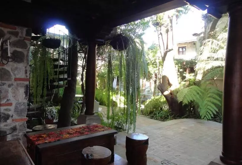 Fotos del hotel Cissus Hotel Boutique:  5