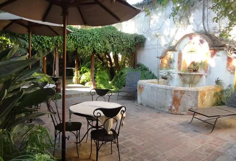 Fotos del hotel Cissus Hotel Boutique:  17