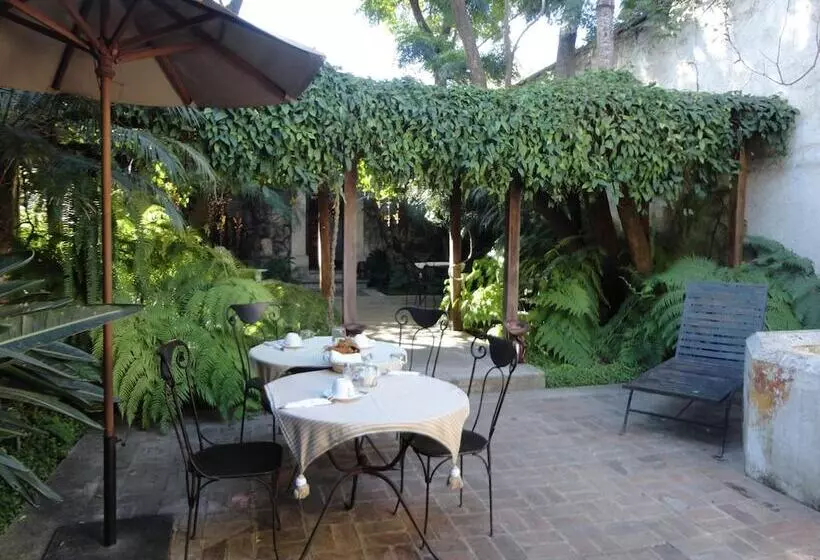 Fotos del hotel Cissus Hotel Boutique:  3