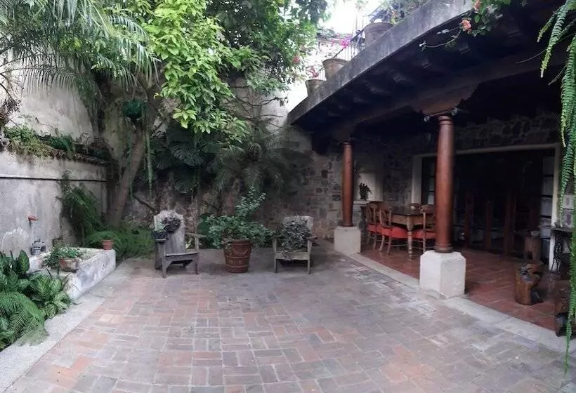 Fotos del hotel Cissus Hotel Boutique:  11