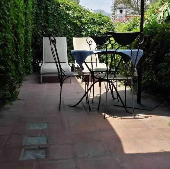 Fotos del hotel Cissus Hotel Boutique:  13