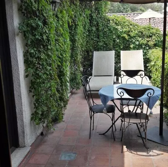 Fotos del hotel Cissus Hotel Boutique:  15