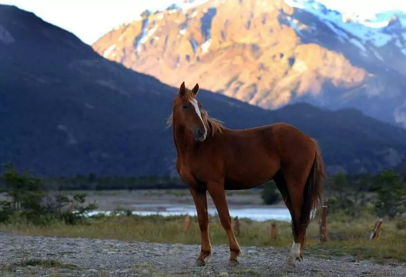 Fotos del hotel Los Cerros Del Chaltén Boutique:  4