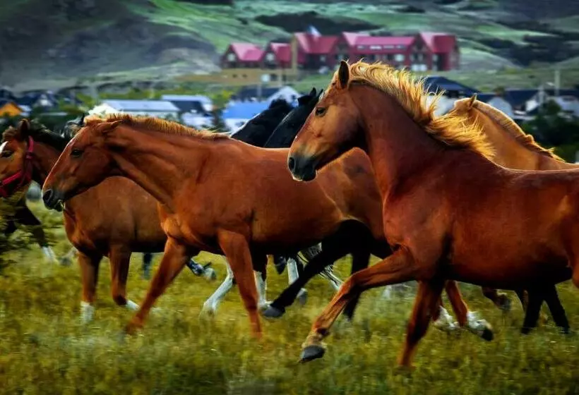Los Cerros Del Chaltén Boutique