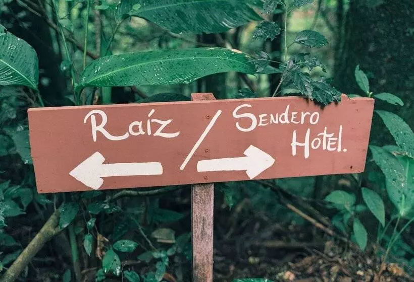 Fotos del hotel Jardines De Monteverde:  13