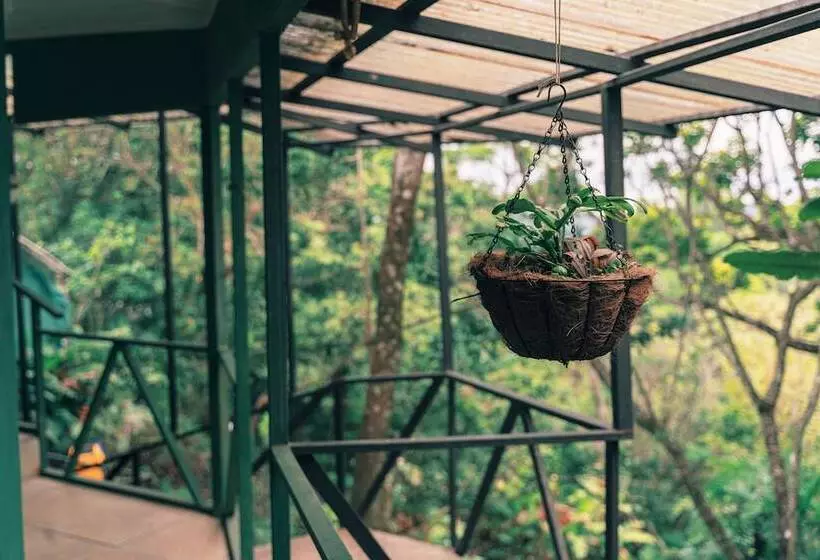 Fotos del hotel Jardines De Monteverde:  23