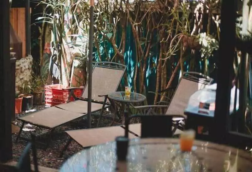 Fotos del hotel Jardines De Monteverde:  6