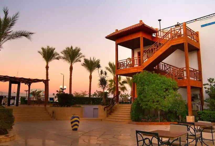 Fotos del hotel Naama Blue:  5