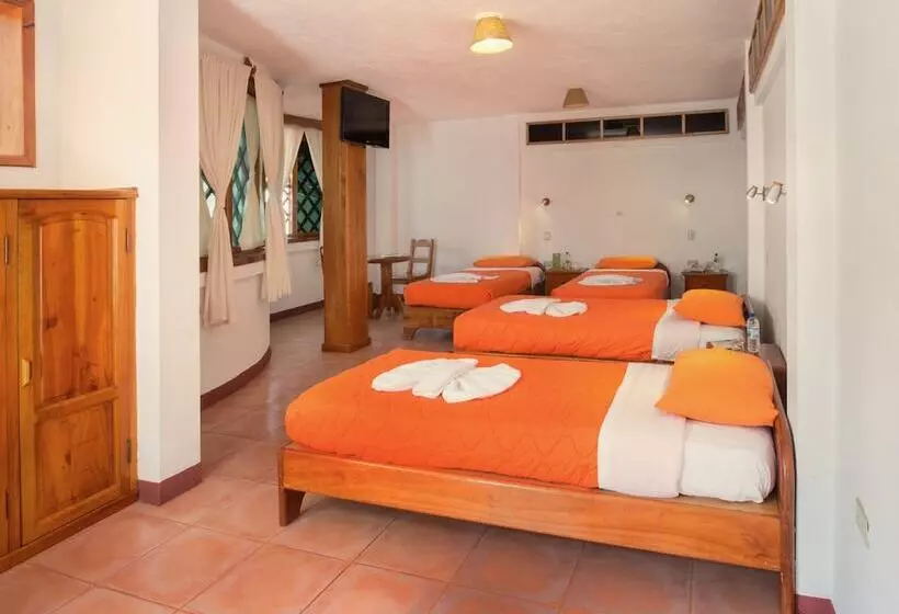 Fotos del hotel Mainao:  15