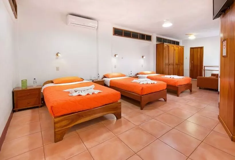 Fotos del hotel Mainao:  17