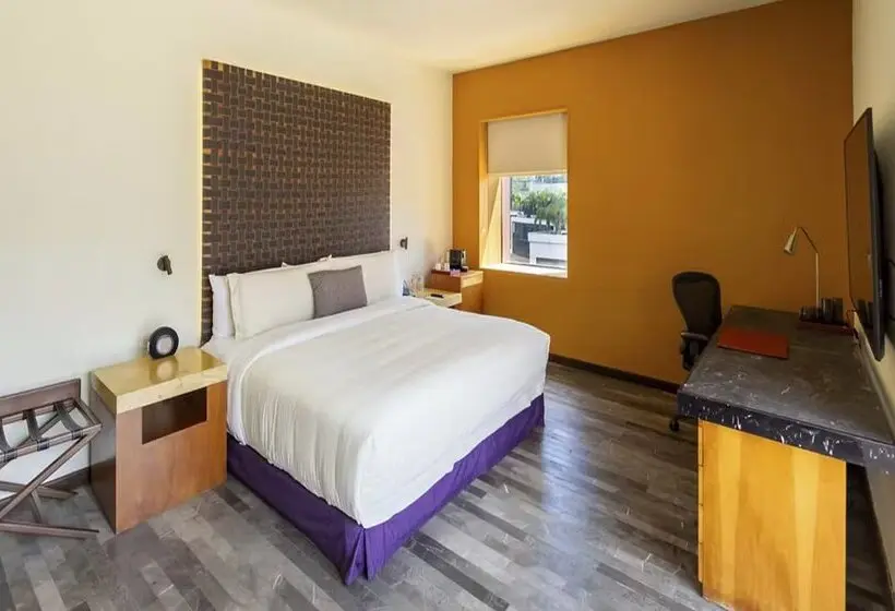 Fotos del hotel Camino Real Monterrey:  2