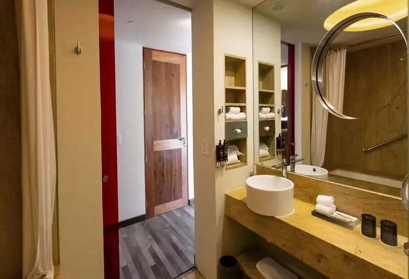 Fotos del hotel Camino Real Monterrey:  25