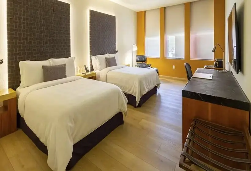 Fotos del hotel Camino Real Monterrey:  31