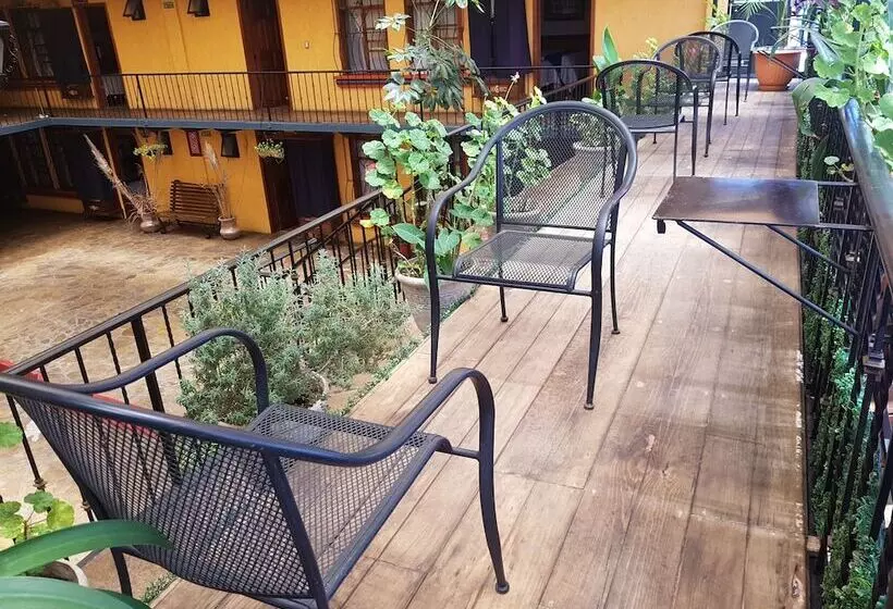 Fotos del hotel Temático Mision Colonial:  10