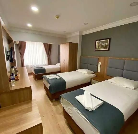 Fotos del hotel Kafkas Hotel Istanbul:  6