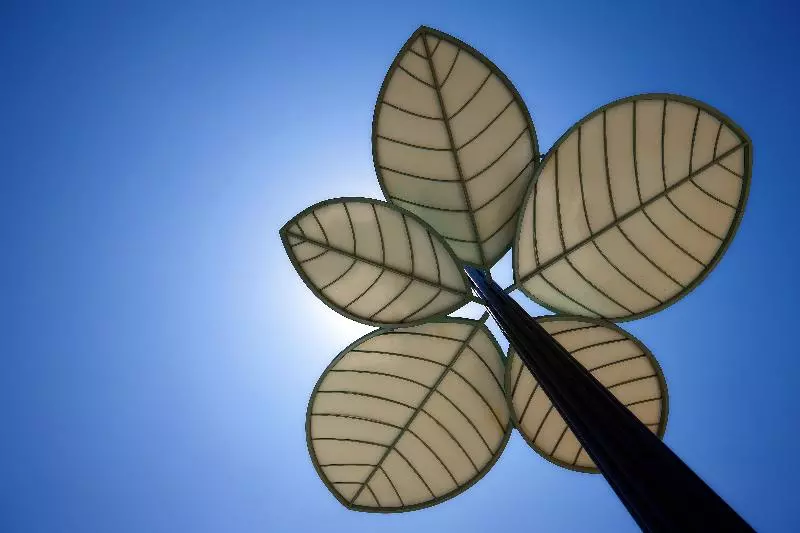 Fotos del hotel Arminda Hotel & Spa:  7