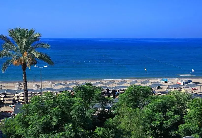 Fotos del hotel Club Cactus Paradise:  24