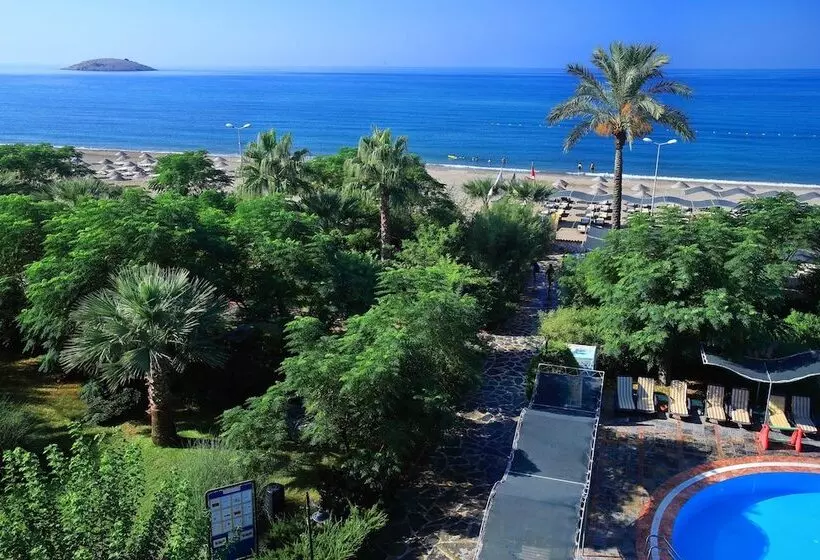 Fotos del hotel Club Cactus Paradise:  11