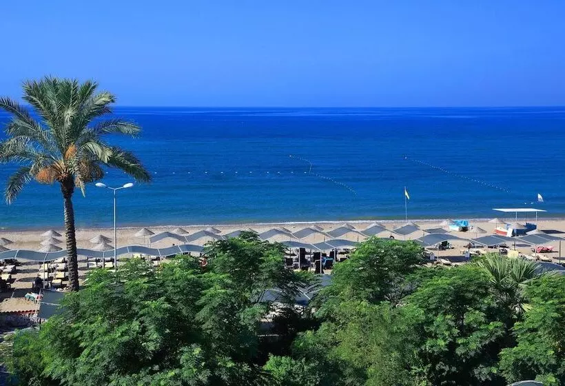 Fotos del hotel Club Cactus Paradise:  6