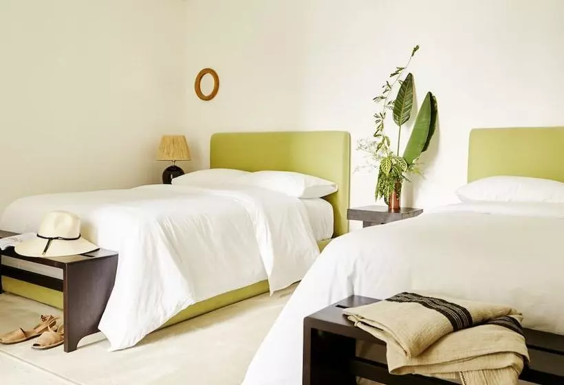 Fotos del hotel Grand Cayman Beach Suites:  14