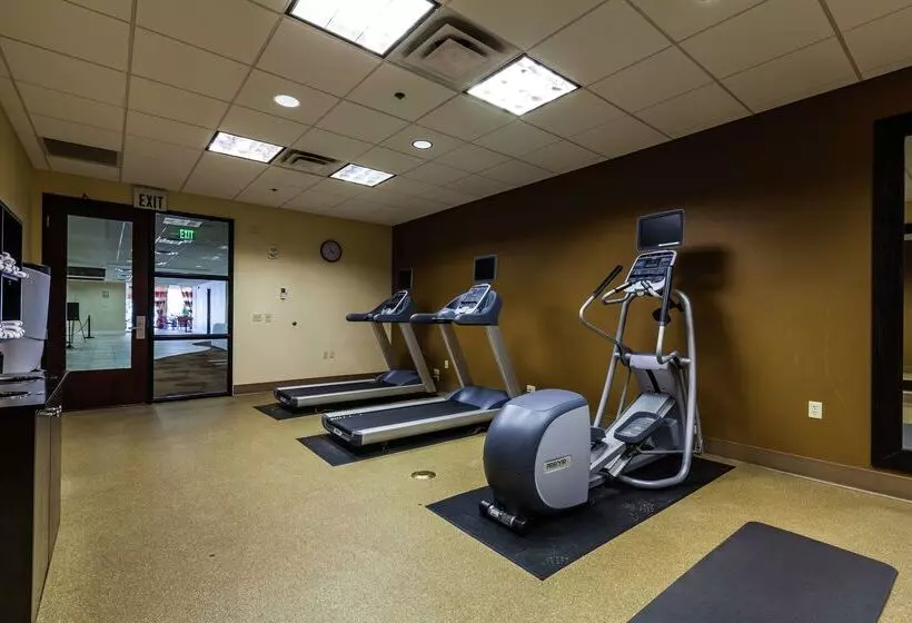 Fotos del hotel Hilton Garden Inn Phoenix Midtown:  5