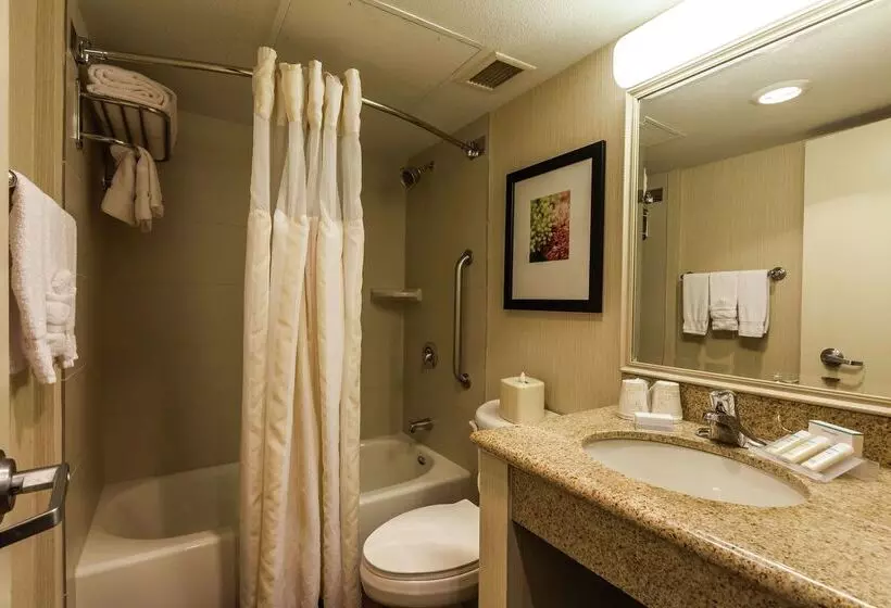 Fotos del hotel Hilton Garden Inn Phoenix Midtown:  10