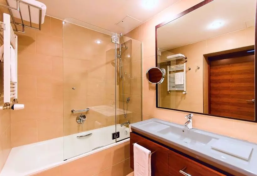 Fotos del hotel Nh Poznan:  14