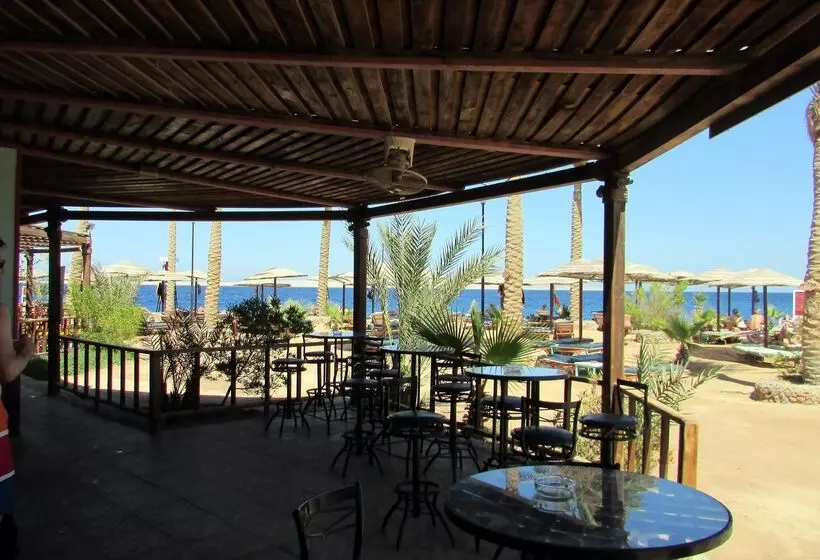 Fotos del hotel Arabia Azur Resort:  49