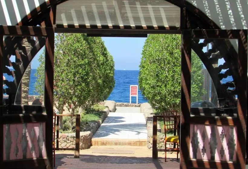 Fotos del hotel Arabia Azur Resort:  62