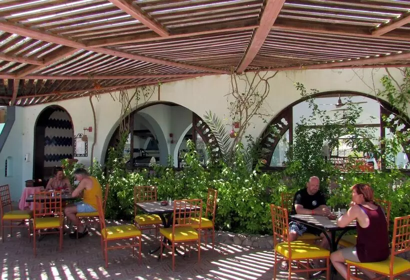 Fotos del hotel Arabia Azur Resort:  21