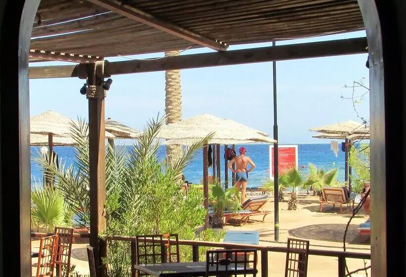 Fotos del hotel Arabia Azur Resort:  65