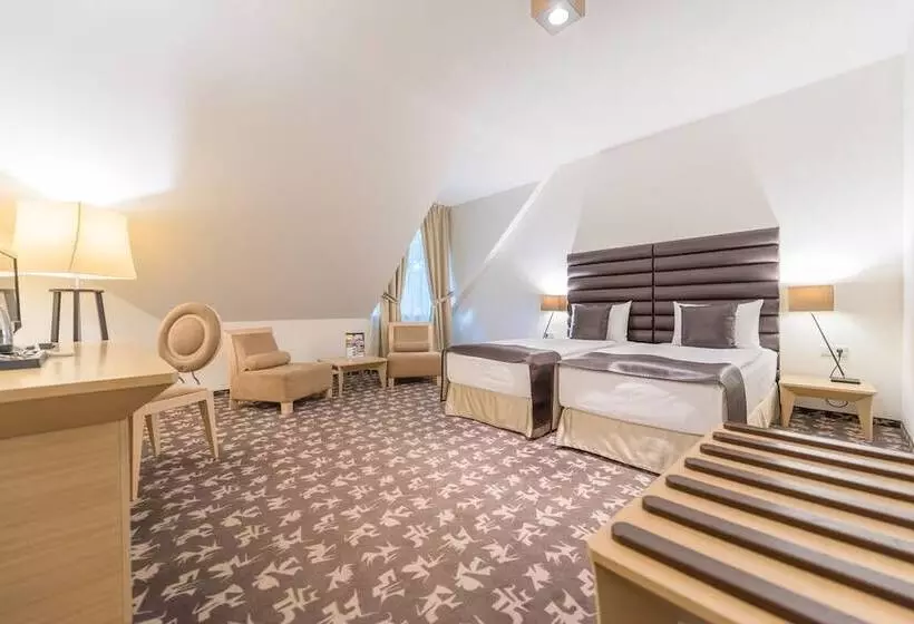 Fotos del hotel Buda Castle:  15