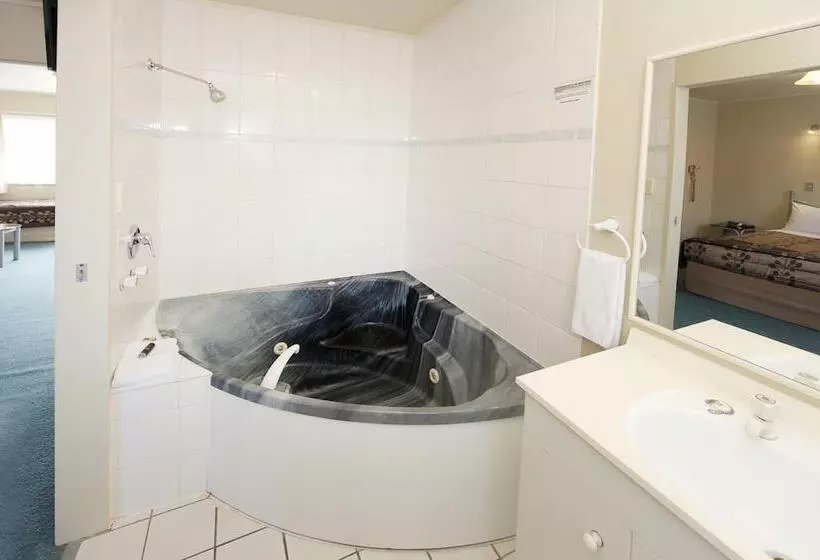 Fotos del hotel Geneva Motor Lodge:  14