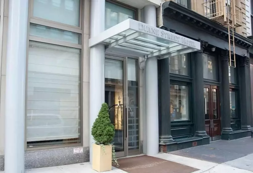 Fotos del hotel Duane Street Hotel Tribeca:  7