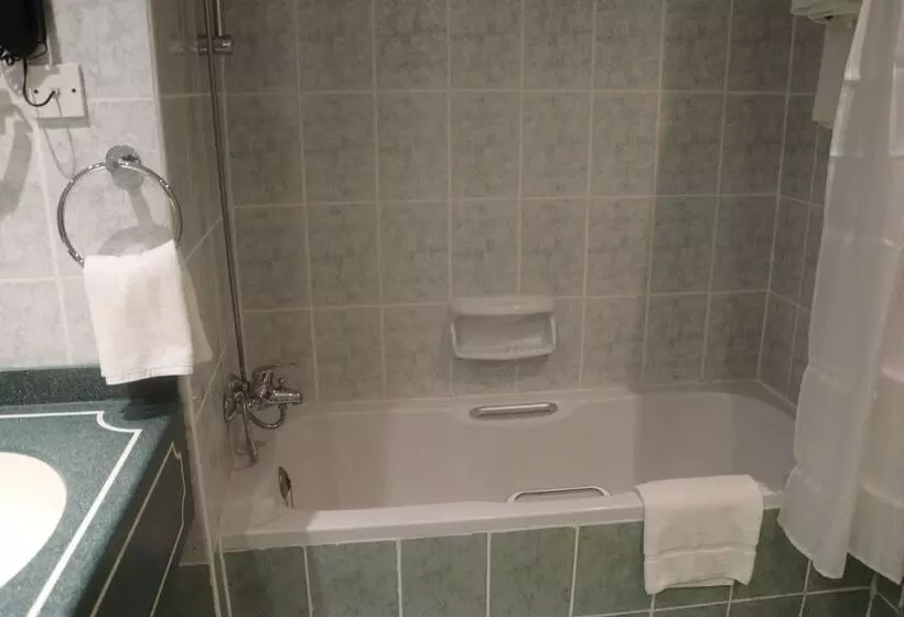 Fotos del hotel Delmon:  33