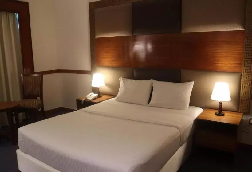 Fotos del hotel Delmon:  14